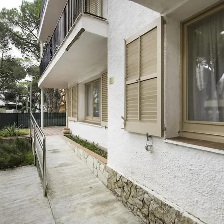 Planta Baja En El Centro De Apartment